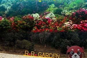 कोशी पर्यटन वर्ष २०८२ आज उदघाटन हुदै !