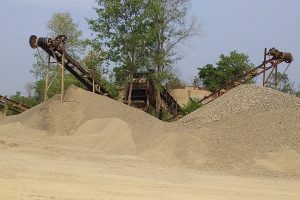 मोरङको वन क्षेत्रमा चरम दोहन, भीम पौडेलसहित ४ जनाविरुद्ध मुद्दा !