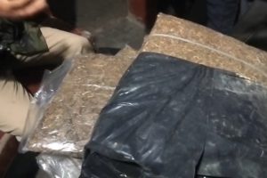 इटहरी–१३ बाट ठूलो परिमाणको गाँजा बरामद, दुई जना पक्राउ !