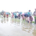 असार १५ मा खनारमा धान रोपाइँ उत्सव !